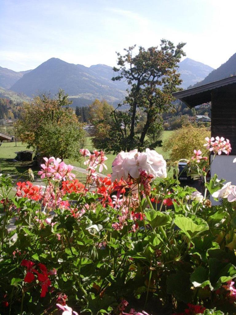 Malernhof Bed & Breakfast Kitzbühel Exterior foto